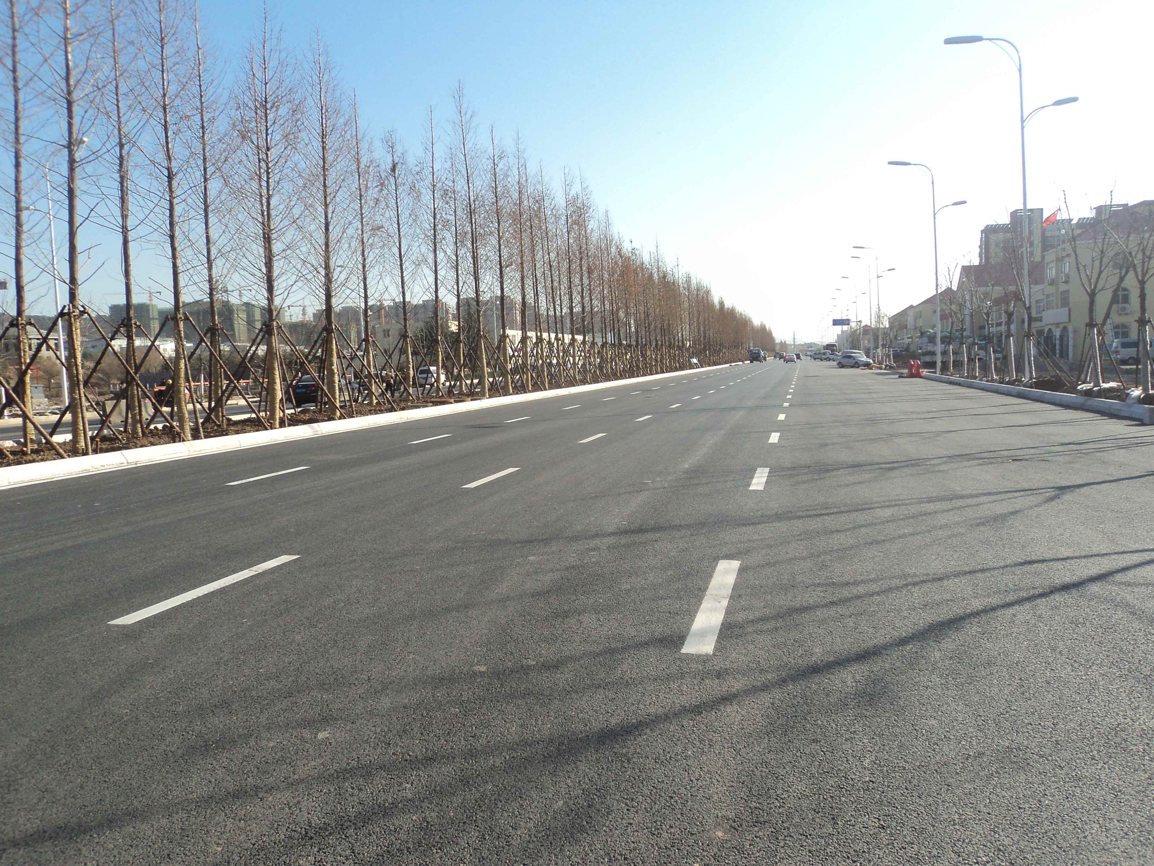 重庆路路线建设_compressed